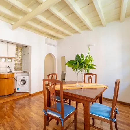 Delightful Flat Few Steps From The Colosseum